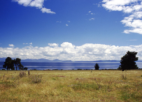 new zealand - north island view.jpg